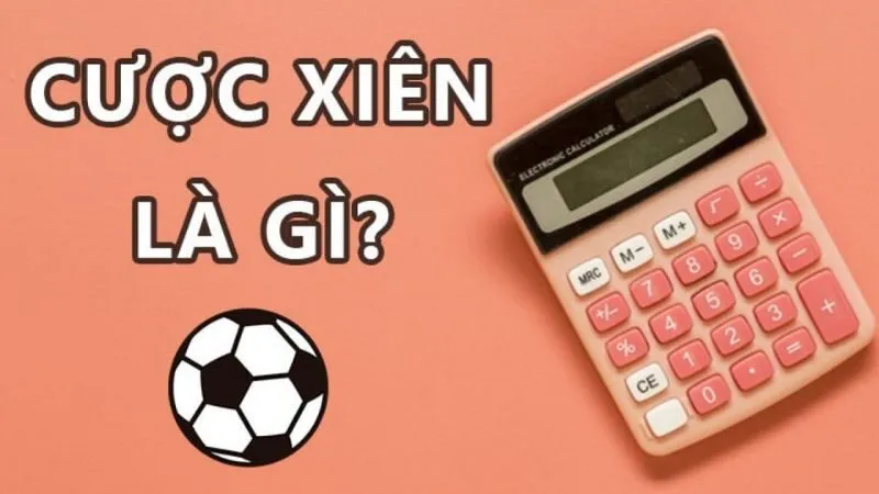 Nắm vững công thức tính tiền kèo Xiên để đầu tư vốn liếng hiệu quả Nắm vững công thức tính tiền kèo Xiên để đầu tư vốn liếng hiệu quả